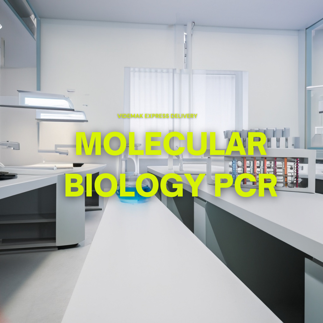 Molecular Biology PCR